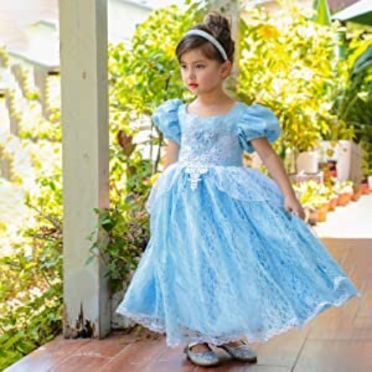 Disney Inspired Cinderella Gown Girl Costume Halloween Costume 