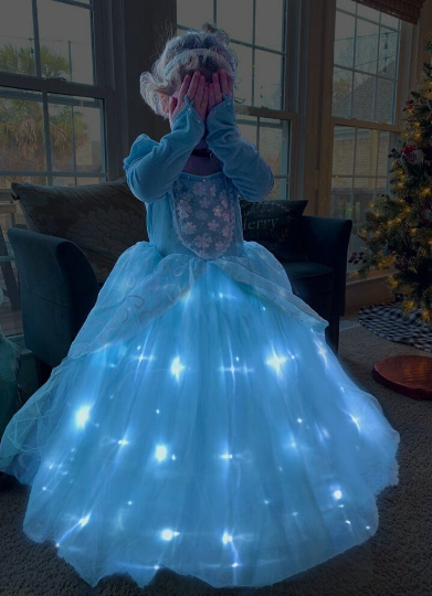 Gorgeous Light Up Cinderella Costume Ballgown Disney inspired Gown for your Princess 