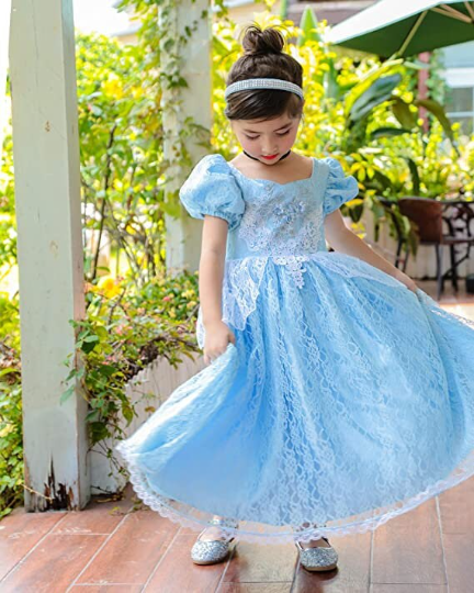 Disney Inspired Cinderella Gown Girl Costume Halloween Costume 