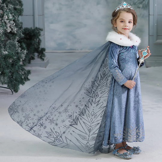 Elsa Winter Gown Costume, Snow Queen, Princess 