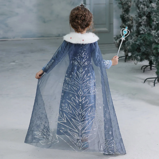 Elsa Winter Gown Costume, Snow Queen, Princess 