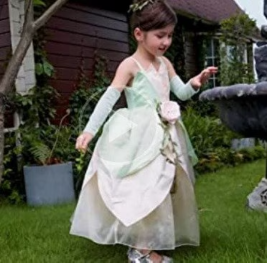 rincess Tiana disney inspired Fairy Princess Gown, The Princess and the Frog 