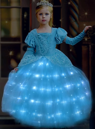 Gorgeous Light Up Cinderella Costume Ballgown 