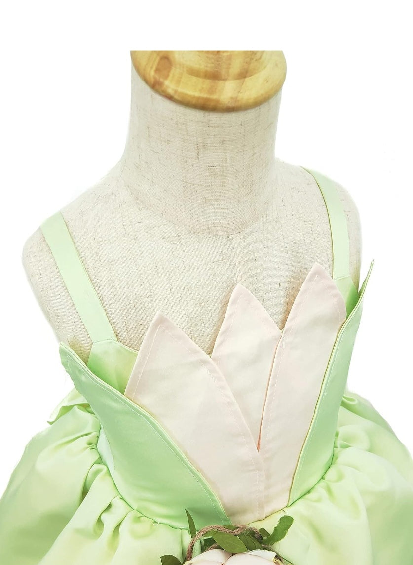 TIANA Disney inspired Princess and the Frog Halloween costume 