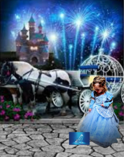 Gorgeous Cinderella Disney inspired Costume for Girls pageants Parties 