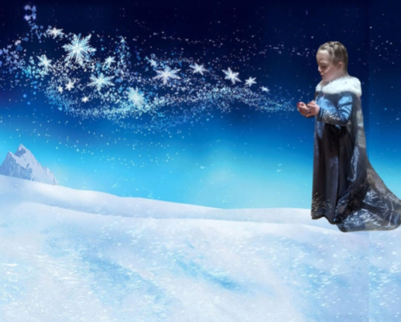 Enchanted Elsa Inspired Disney Dress with Fur Color and Cape 