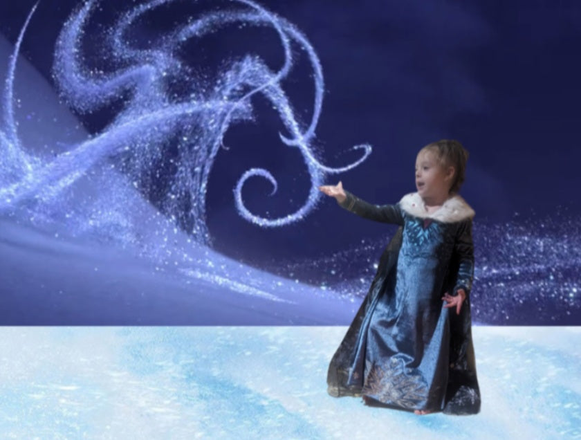 Enchanted Elsa Inspired Disney Dress with Fur Color and Cape 