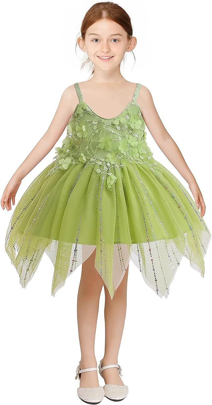 Beautiful Fairy Princess Girl Halloween costume 