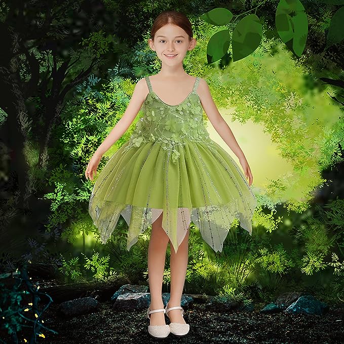 Beautiful Fairy Princess Girl Halloween costume 