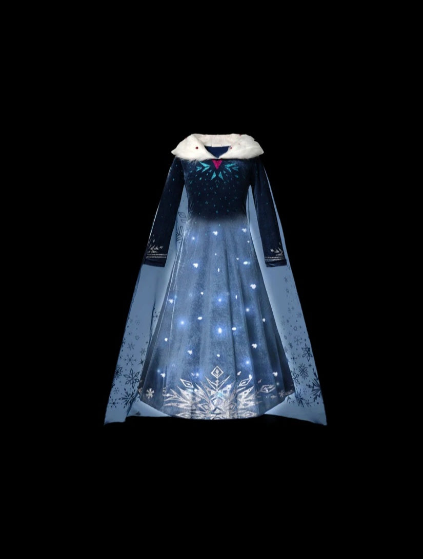 Enchanted Elsa Inspired Disney Dress with Fur Color and Cape 